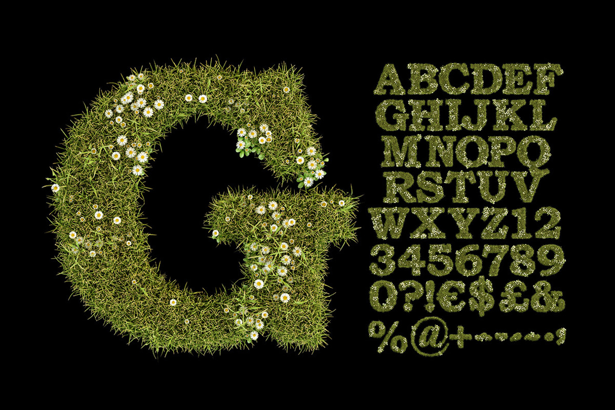 Daisy Font, a Font by Handmadefont (Photo 2 of 9)