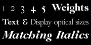 WT Solaire, a Serif Font by Wraith Types (Thumbnail 2 of 8)