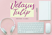 Vearmind, a Script Font by James Corona (Thumbnail 6 of 8)