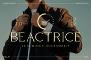 Coldiac Rough, a Serif Font by Craft Supply Co. (Thumbnail 3 of 8)