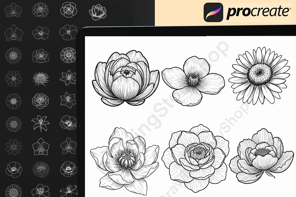Floral & Botanical Procreate Stamps, a Brush Add-On by DrawingStoryShop (Photo 5 of 8)