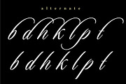 DeBasi — Modern Calligraphy Font, a Script Font by Andfonts (Thumbnail 4 of 5)