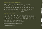 Marie Glachith Beautiful Script Font, a Script Font by Letterena Studios Script (Thumbnail 14 of 15)