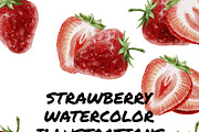 Strawberry Watercolor Illustrations, a Food Illustration by wedraw (Thumbnail 2 of 3)