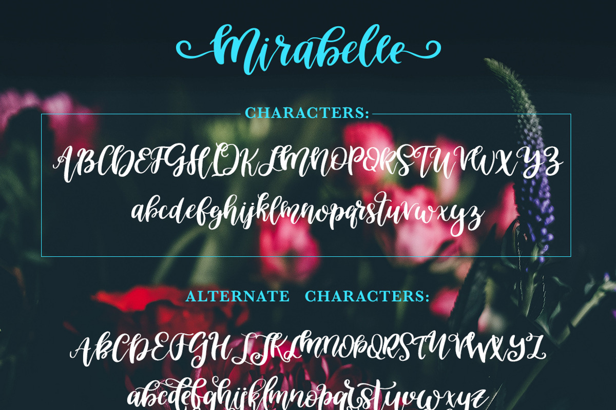 Mirabelle Script - Font with Extras! preview 7