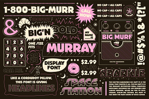 Murray Typeface, a Sans Serif Font by Jordan Wilson