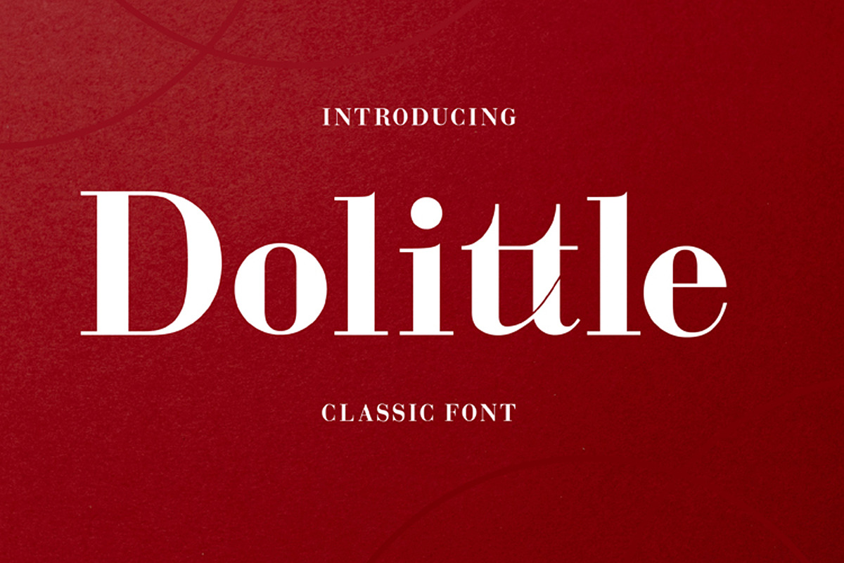 Dolittle, a Serif Font by edcreative (Photo 1 of 7)