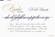 Desirable Calligraphy, a Script Font by Alcode (Thumbnail 6 of 16)