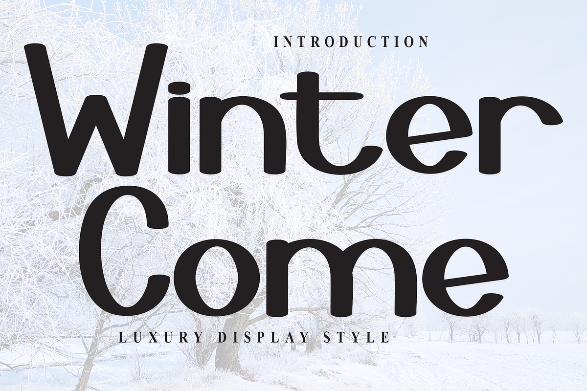 Winter Come, a Script Font by InermediaSTUDIO (Photo 1 of 8)