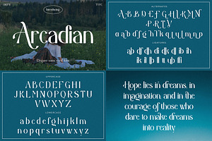 Font Bundle - Display Collection