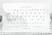 Sollutes Handy | Callighraphy Chic, a Script Font by gracetype_studio (Thumbnail 11 of 12)