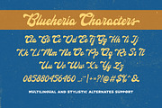 Blueheria- Display Script, a Script Font by Letterhend Studio (Thumbnail 4 of 9)