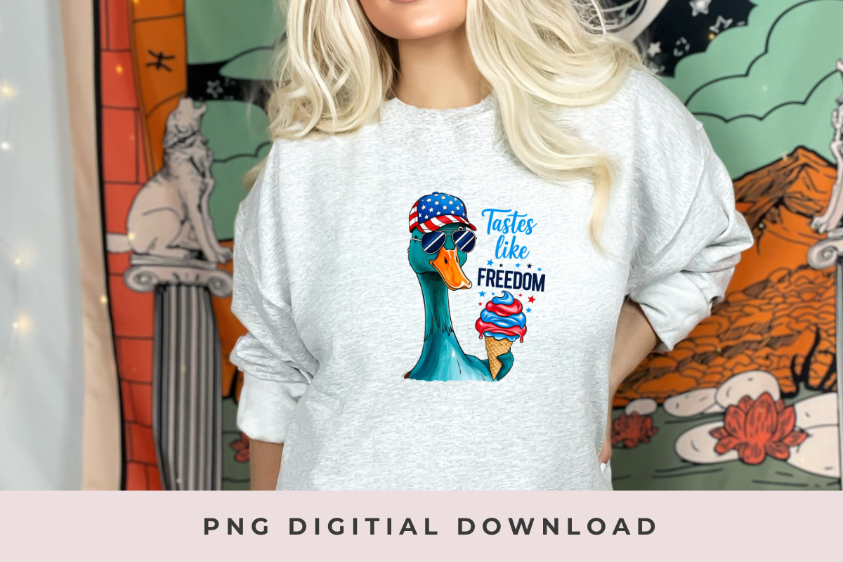 4th july PNG Bundle, an Illustration by Anca Digital Vibe (Photo 7 of 7)