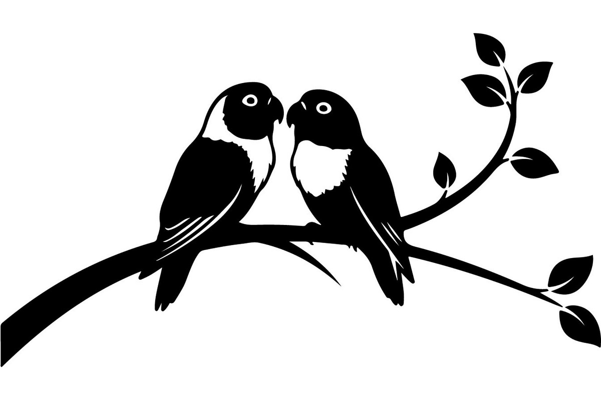 Birds on Branch Vector Collection, an Illustration by Designer_Momina (Photo 17 of 21)