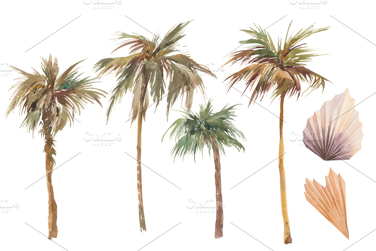 DESERT PLANTS, an Illustration by Eisfrei (Photo 9 of 10)