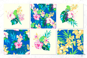 Tropicana Vector Patterns