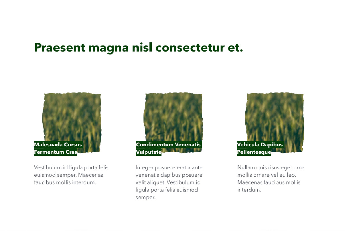 Farming Keynote Template, a Presentation Template by Jumsoft (Photo 15 of 21)