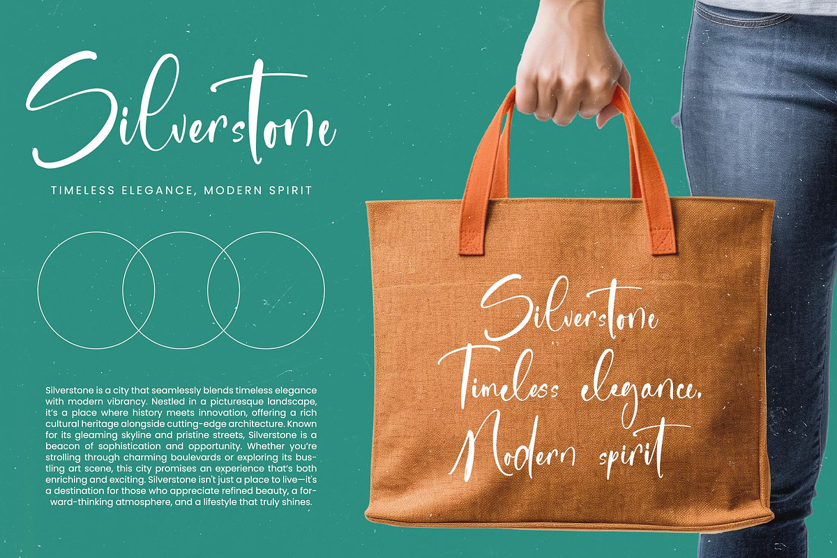 Sanitizer Eticulate Stylish Font, a Script Font by stylishtype.co (Photo 2 of 20)