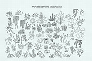 Minimalist Succulent Clipart Bundle, an Illustration by Hannah Eliza Studio (Thumbnail 2 of 6)