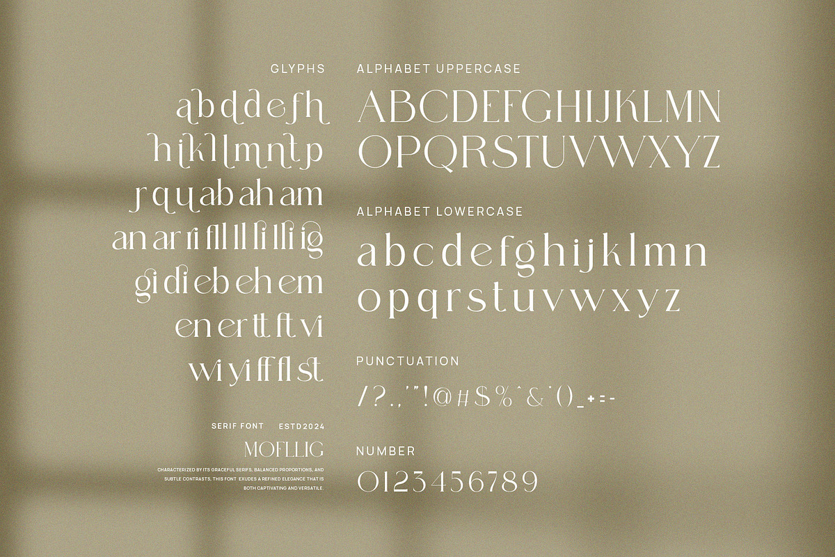 Mofllig Modern Ligature Serif Font, a Serif Font by Perfectype (Photo 8 of 8)