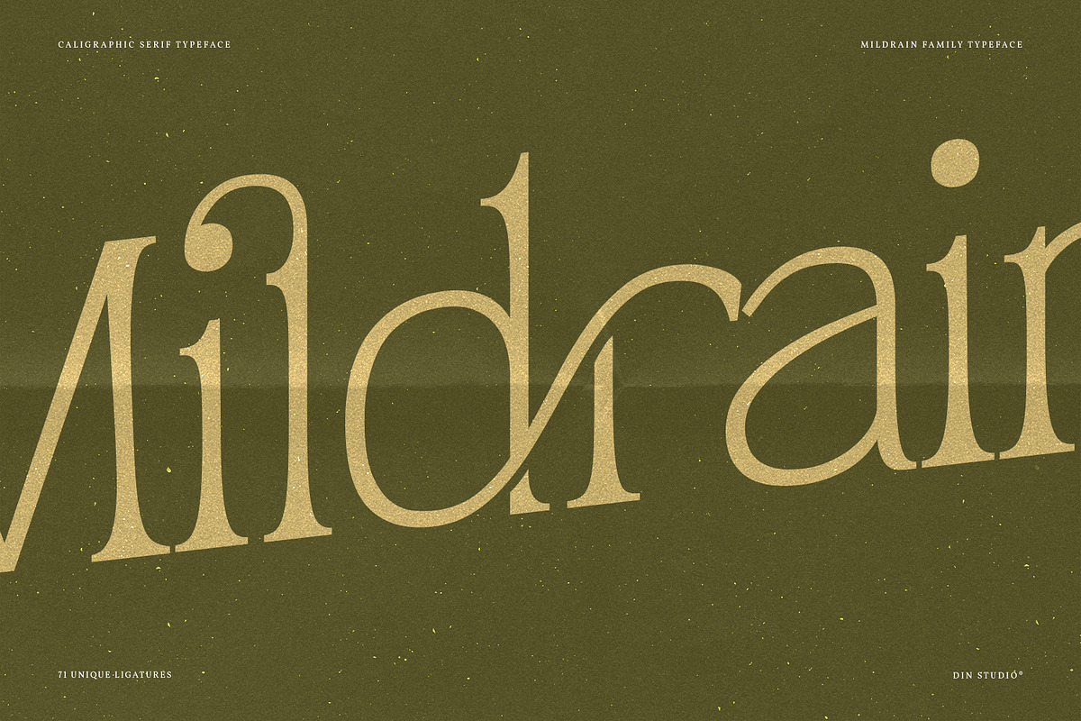 Mildrain, a Serif Font by din-studio.com (Photo 3 of 10)