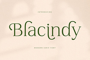 Blacindy Modern Serif Font, a Serif Font by Letterena Studios
