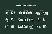 Fellbaum Grotesk Full, a Sans Serif Font by Vintage Type Company (Thumbnail 7 of 16)