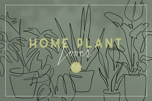 Home Plant Lover