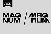 Gelegar, a Sans Serif Font by Locomotype (Thumbnail 8 of 12)