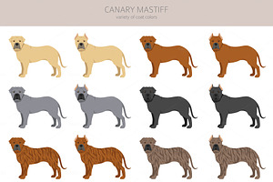 Canary Mastiff Clipart