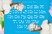 Tender Heart Modern Display Serif, a Serif Font by timelesstype.co (Thumbnail 17 of 20)