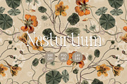 Vintage Nasturtium Floral Seamless, a Pattern Graphic by Talip Memis (Thumbnail 1 of 10)