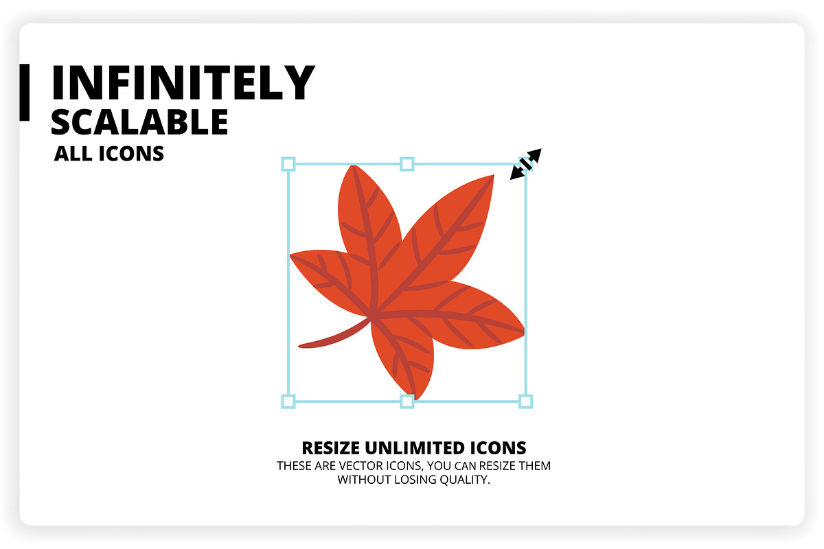 36 Autumn Elements + 12 Patterns, a Graphic by monkik (Photo 11 of 12)