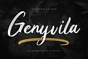 Genyvila Handbrush Business Font, a Script Font by MikroType Std (Thumbnail 1 of 8)