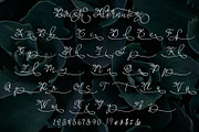 Barista Script, a Script Font by Aldedesign (Thumbnail 6 of 7)