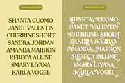 Shelian, a Serif Font by Seniors (Thumbnail 7 of 15)