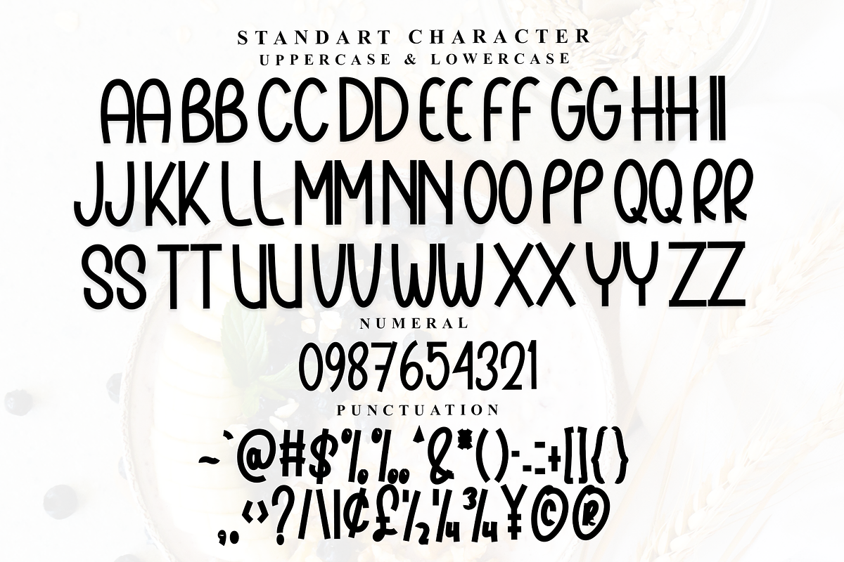 Snowman Cinderland, a Serif Font by FreshTypeINK (Photo 5 of 8)