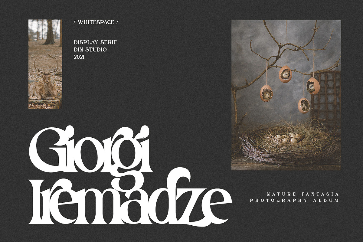 White Space, a Script Font by din-studio.com (Photo 3 of 10)
