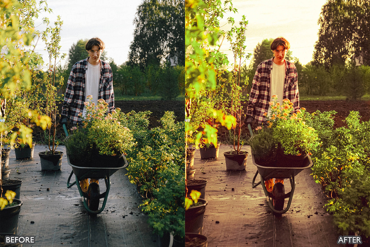 Steal Film Cinematic LR Presets, a Preset Add-On by AAA Presets (Photo 14 of 22)