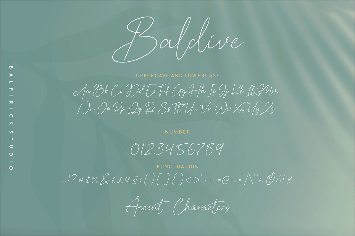 Baldive - a Signature Monoline Font, a Script Font by Balpirick Studio (Photo 6 of 8)