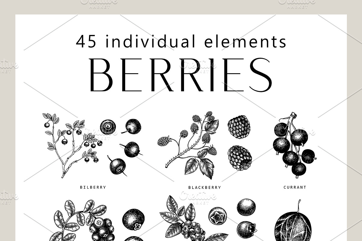 BUNDLE - Fruit & Berries Collection, a Food Illustration by Yevheniia (Photo 3 of 9)