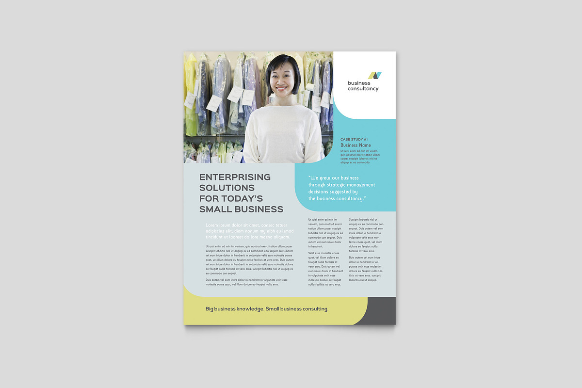 Business Consultant Datasheet, a Flyer Template by StockLayouts (Photo 2 of 5)