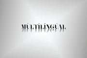 BAFALL, a Serif Font by jaffana.co (Thumbnail 2 of 6)
