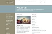 Avett, a Responsive WordPress Theme, a WordPress Template by DesignerThemes.com (Thumbnail 5 of 5)