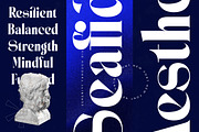 Seafibe Modern Serif Display, a Serif Font by timelesstype.co (Thumbnail 8 of 20)