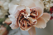 PREMIUM 120 Stamp Logo Bundle, a Branding & Logo Template by IsikChic (Thumbnail 2 of 30)