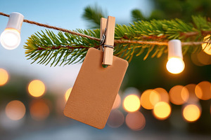 Blank tag on pine branch with string lights, a Holiday Photo by AlyaAnd