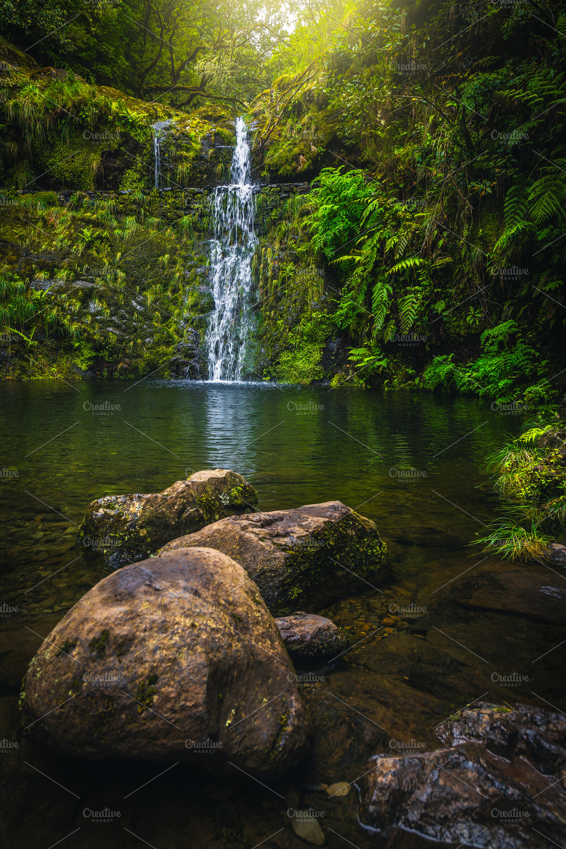Picturesque waterfall and small lake, a Nature Photo by Alpine Dreams