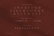 Diores Elegant Serif Font, a Serif Font by Graphicxell (Thumbnail 7 of 8)