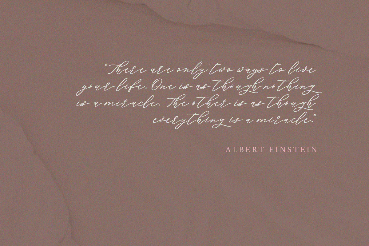 Della Brian - Lovely Wedding Font, a Script Font by Letterhend Studio (Photo 5 of 9)